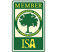 ISA website home page